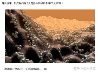 qq群艾特所有人怎么屏蔽