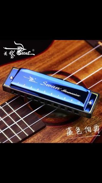 口琴初学者买什么口琴合适