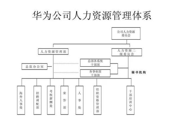 华为管理模式结构图