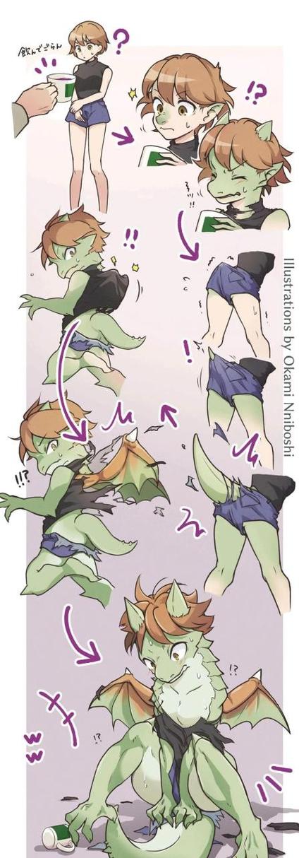 兽化的全部过程