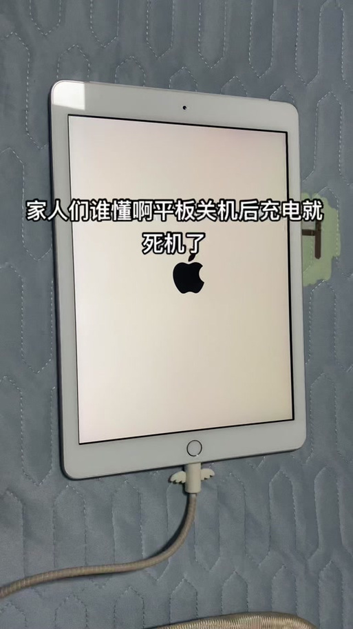 平板一直重复开机关机