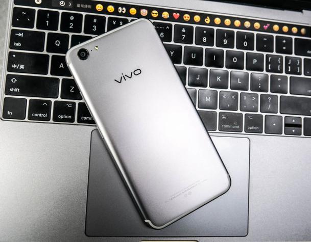 vivo手机屏幕变成灰色截图