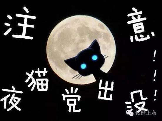 有宝宝夜猫子的说说截图