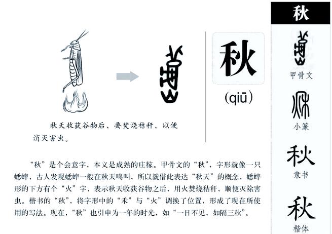 vivo手机的字怎么变的