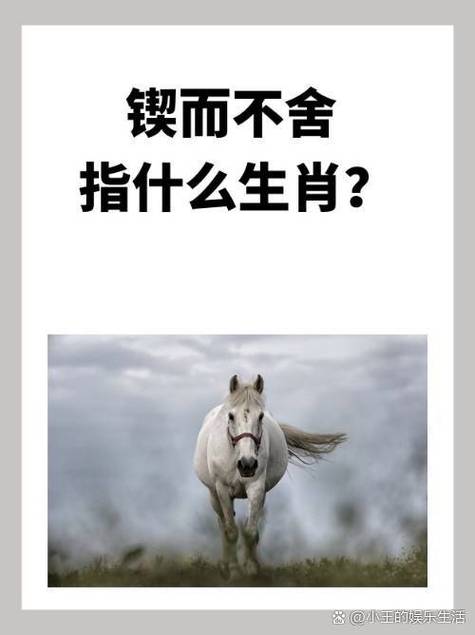不成东西解生肖截图
