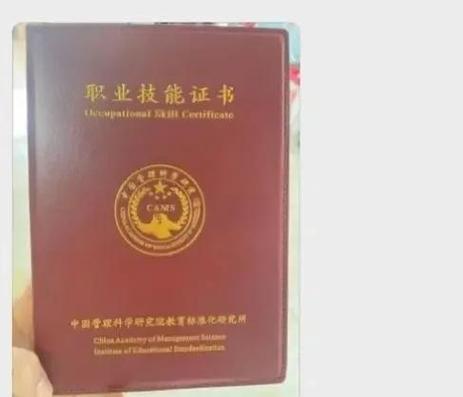 早教最厉害三个证书图标