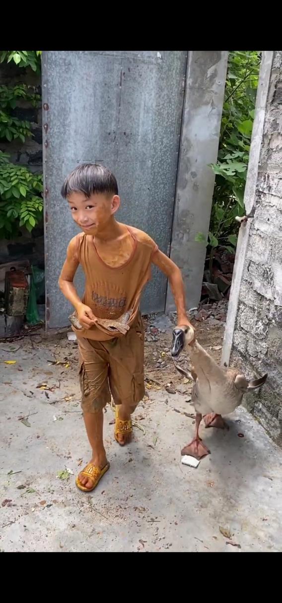 一个小孩抓大鹅