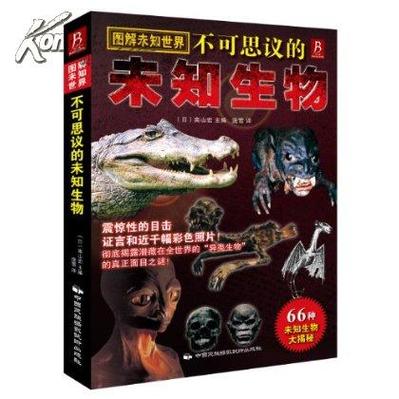 神秘的数字和不可思议的生物