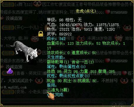 问道500w亲密老虎