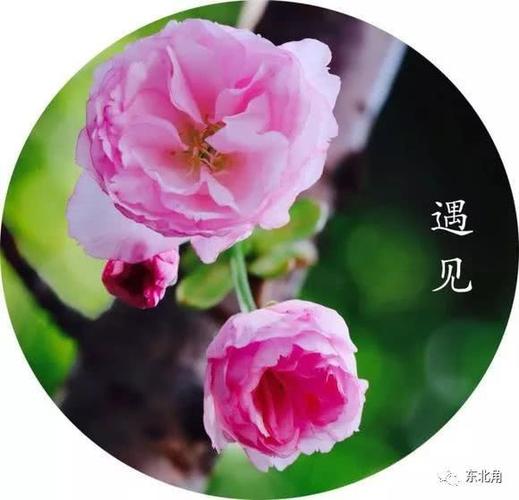相亲网站留电话
