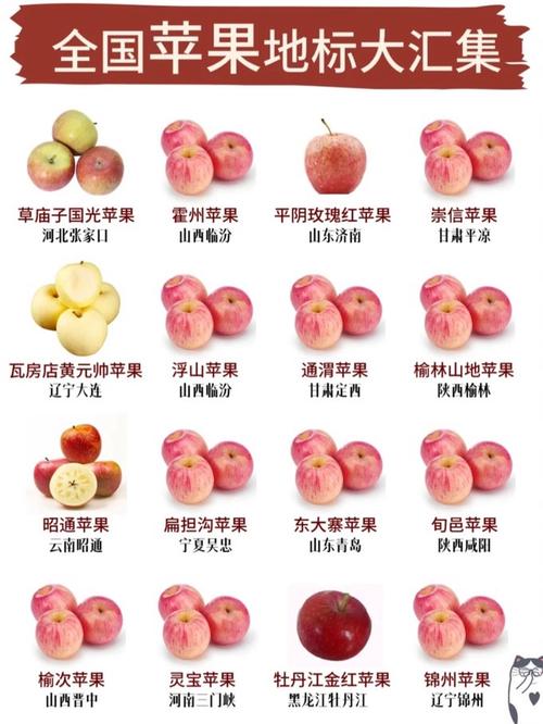 苹果换屏不亮怎么回事