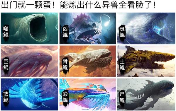 狒狒养巨鲲