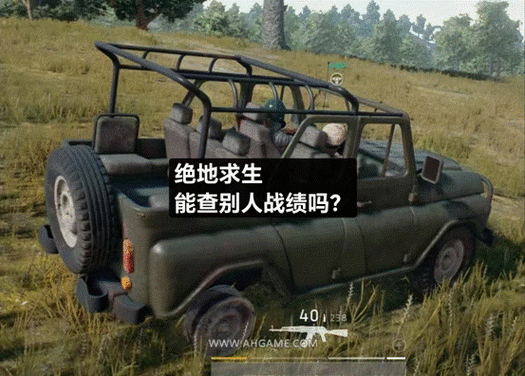 吃鸡战绩隐藏能不能查出来