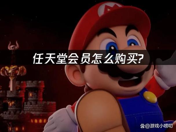 switch一年会员多少钱缩略图
