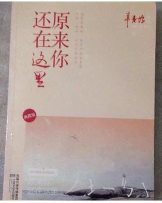 原来你还在这里原著小说