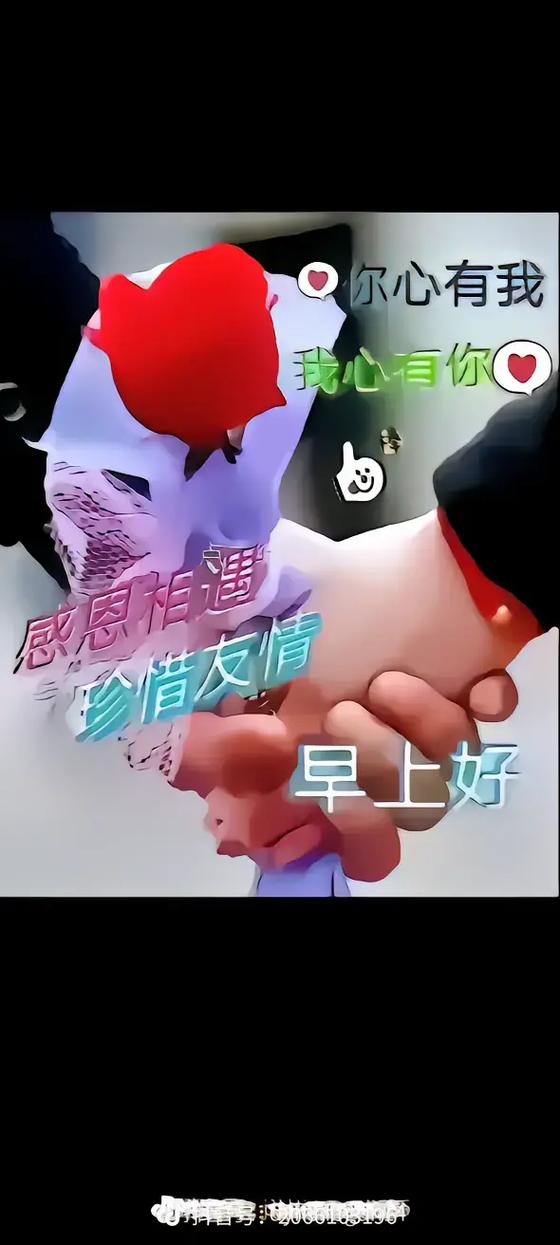 女声独唱《手心有你》