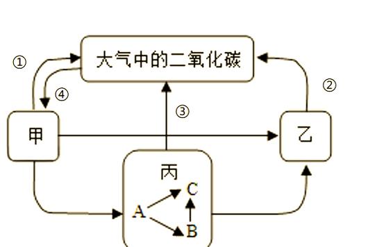 能量流动的应用范围