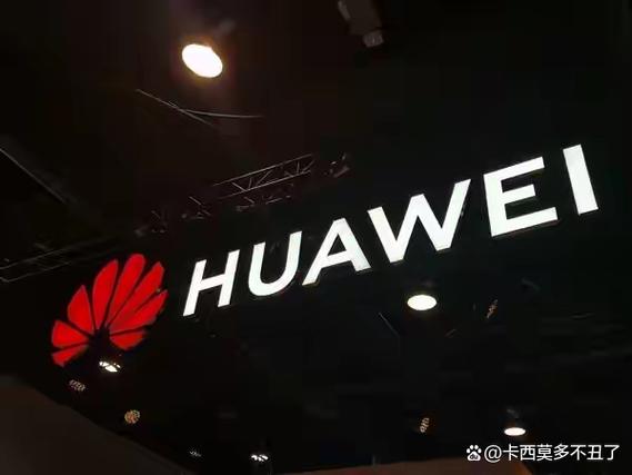 华为为什么不能开王者时刻