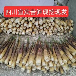 苦竹笋的功效与作用图标