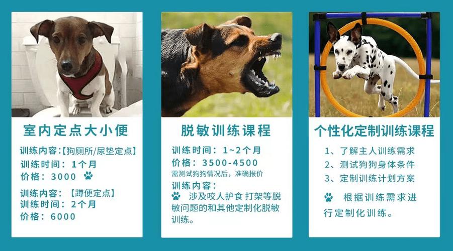 宠物训犬学校培训价格表