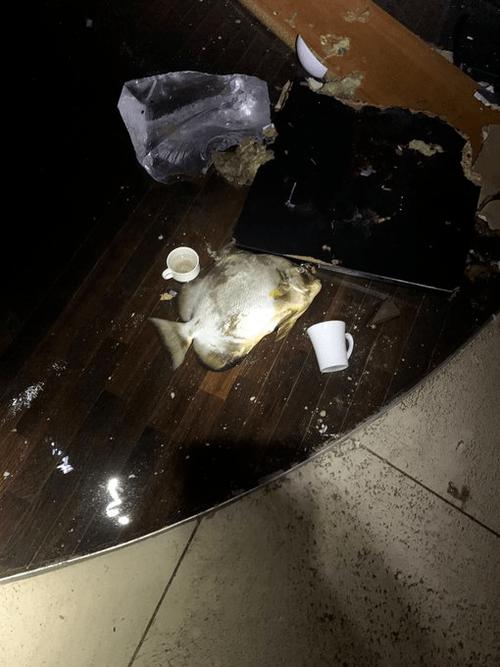 鱼缸炸了是什么预兆