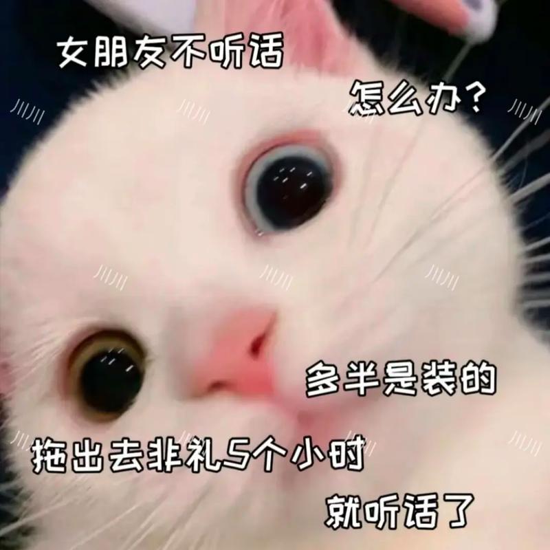 老婆不听话怎么办表情包