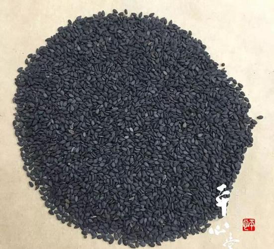 类似黑芝麻的是什么植物种子