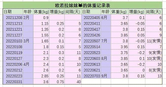 正常一个月40G够吗