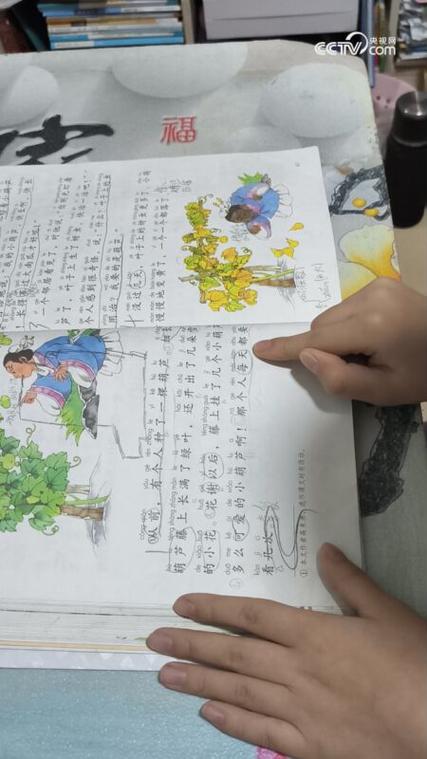 我要的是葫芦的读后感