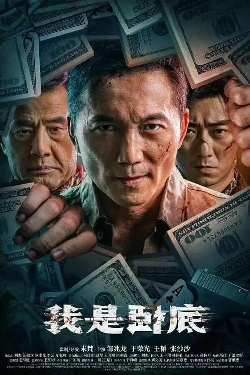 电影《我是卧底》在线观看
