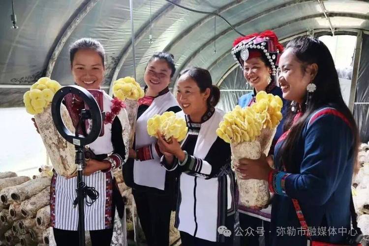弥勒新闻视频缩略图