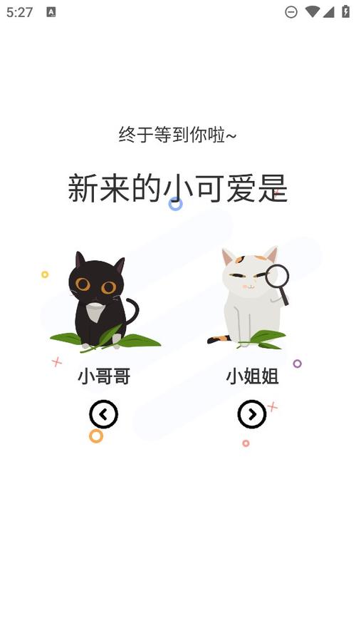 猫咪邀请码是多少啊