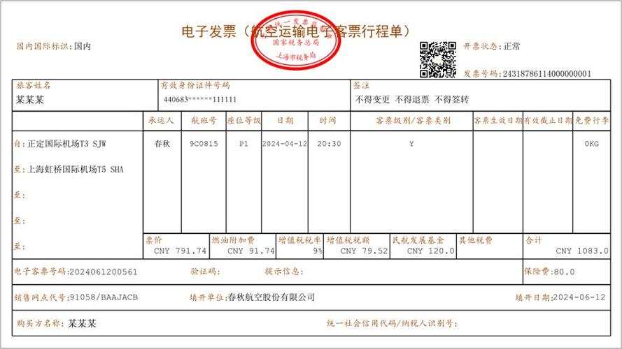 航空运输电子客票行程单