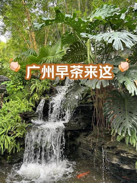 广佛品茶v