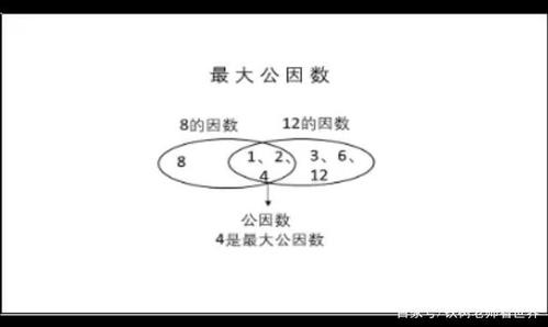 24和32最大公因数截图