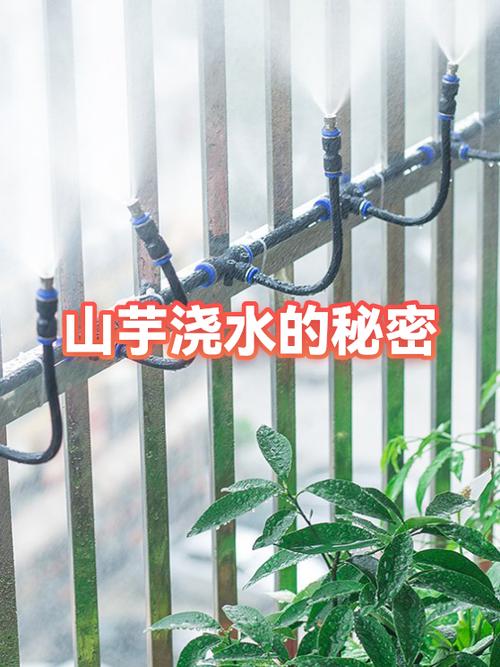 给树浇什么它会死掉