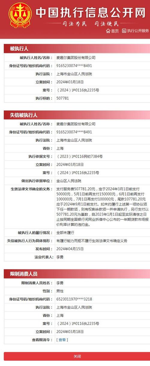 执行网案件查询缩略图