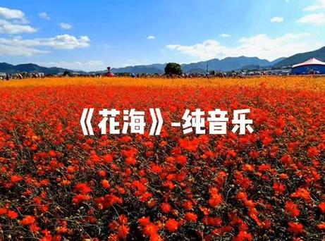 花海免费下载mp3
