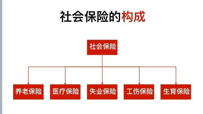 参保状态一条横杠是啥意思