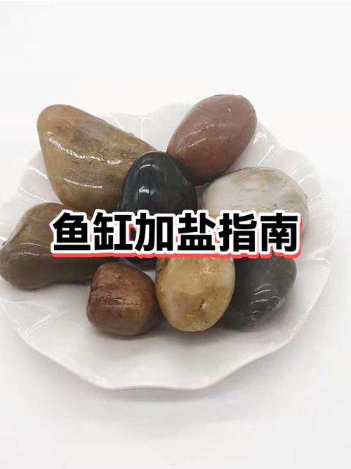鱼缸加盐后水变浑浊了怎么办截图