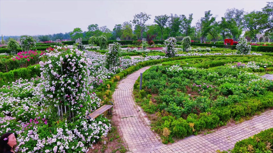 花海公园在什么位置