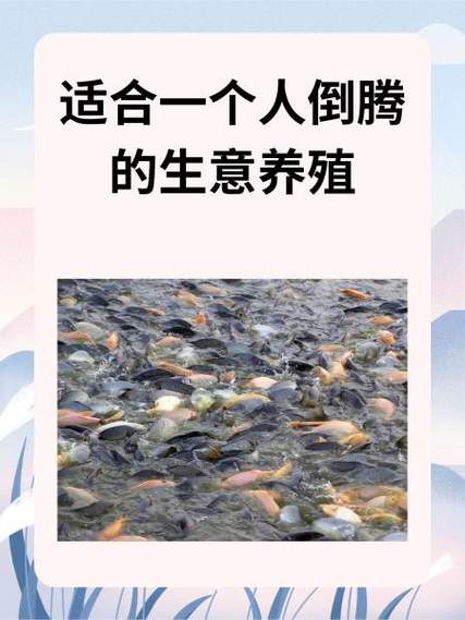 适合一个人单干养殖