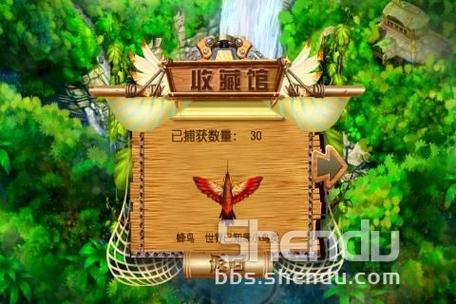 捕鸟达人5