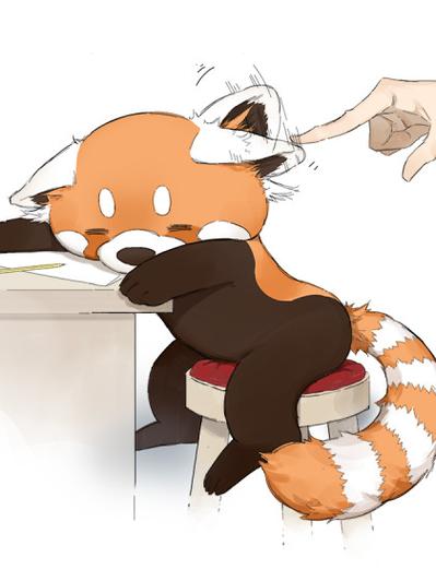 《请叫我小熊猫》缩略图