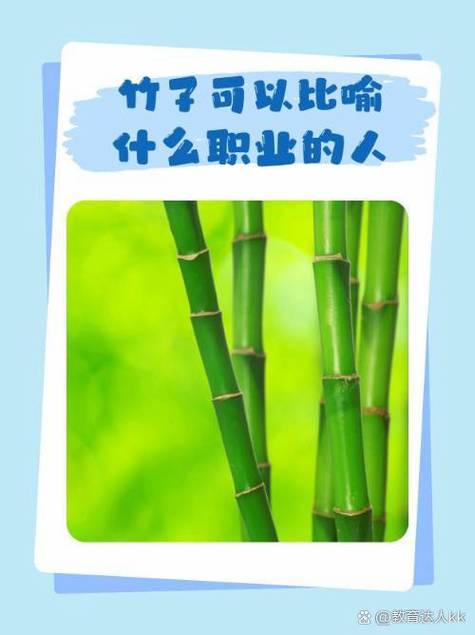 竹子比喻什么女人