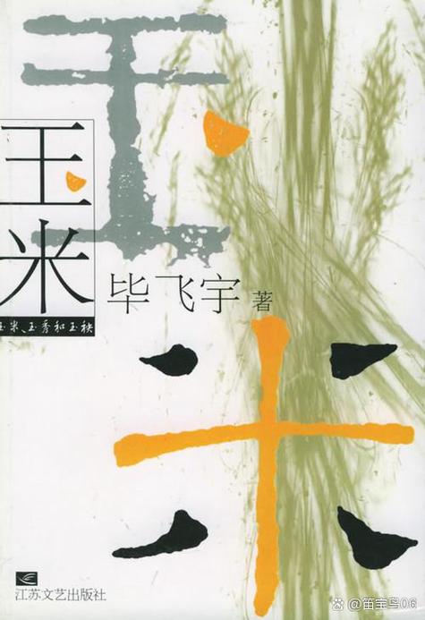 空空人生小说