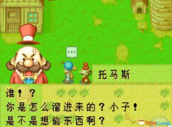 牧场物语 矿石镇金手指