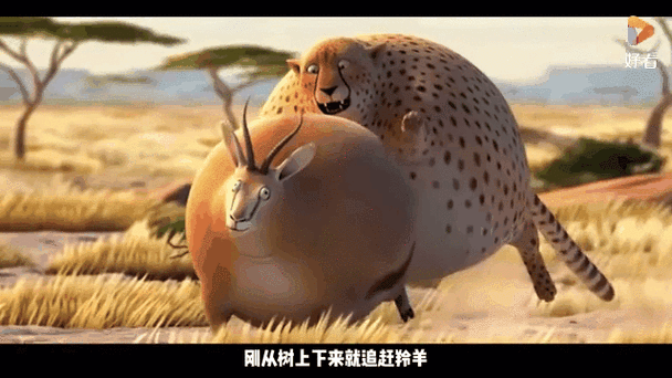 肥代表什么动物