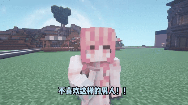 我的世界木兰图标