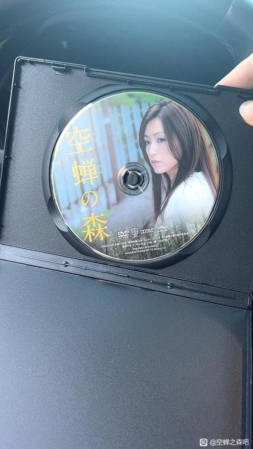 空蝉什么意蝉
